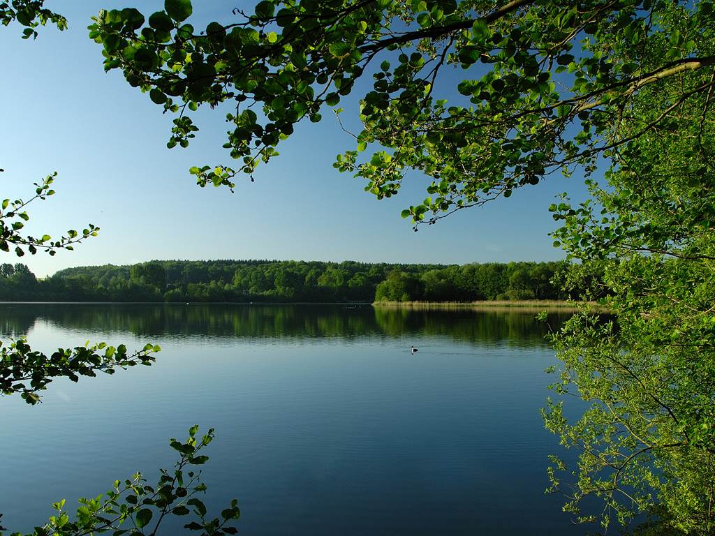 Lac de Bambois